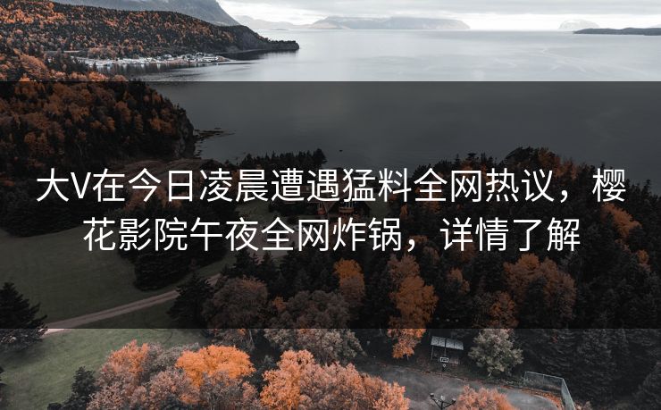 大V在今日凌晨遭遇猛料全网热议，樱花影院午夜全网炸锅，详情了解
