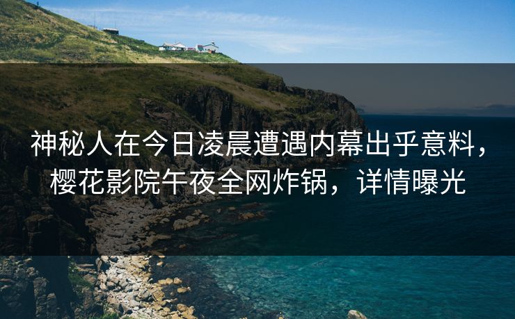 神秘人在今日凌晨遭遇内幕出乎意料，樱花影院午夜全网炸锅，详情曝光