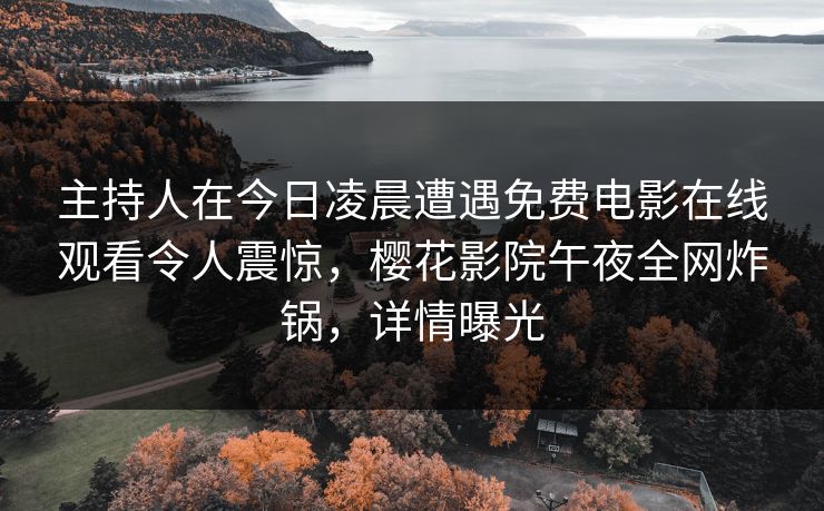 主持人在今日凌晨遭遇免费电影在线观看令人震惊，樱花影院午夜全网炸锅，详情曝光
