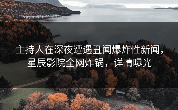 主持人在深夜遭遇丑闻爆炸性新闻，星辰影院全网炸锅，详情曝光