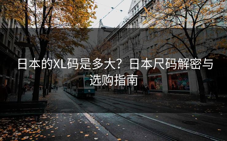 日本的XL码是多大?日本尺码解密与选购指南 日本的XL码是多大?日本尺码解密与选购指南