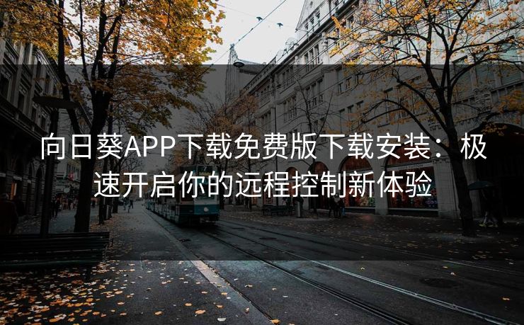 向日葵APP下载免费版下载安装:极速开启你的远程控制新体验 向日葵APP下载免费版下载安装:极速开启你的远程控制新体验
